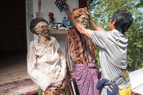 Toraja groomingthe dead